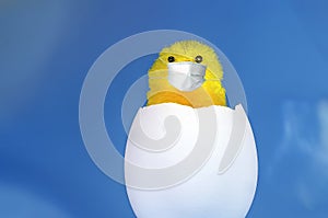 Medical mask, protection against coronavirus and other viruses. Little toy yellow chick in the eggshell on a blue background