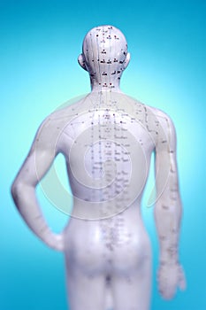 Medical Meridians Acupuncture Points
