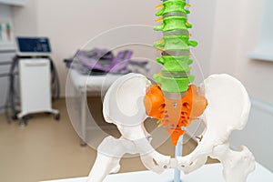 Medical mockup of the human spine. Concept of practicing with vertebral disc.