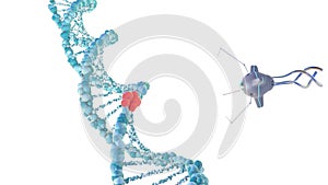Medical nanobots repair a damaged section of DNA. 3D render.