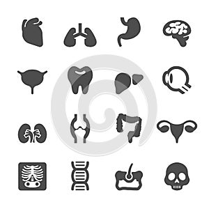 Medical and organs icon set, vector eps10