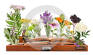 Medical plants with old books and letter case