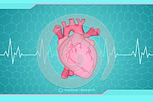 Medical research of human health. Vector drawing of an anatomically true human heart