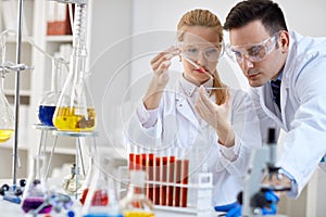 Medical researcher microbiology experiment photo