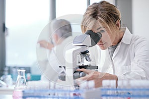 Medical researcher working in the lab