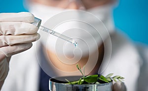 Medical science laboratory. Concept of the scientist,doctor, make alternative herb medicine with herbal the organic natural in the