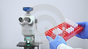 A medical scientist examines and counting a box tray of test tubes of vaccine liquid sample in the laboratory