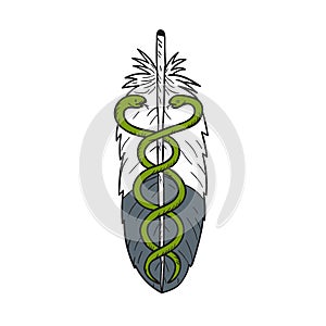 Medical Snake Eagle Feather Drawing