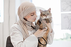 Medical specialist examining pet with stethoscope in clinic