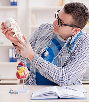 Medical student studying skeleton in classroom during lecture