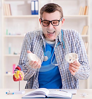 Medical student studying skeleton in classroom during lecture