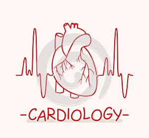 medical symbol of cardiology. vector