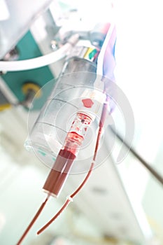 Medical system for hematherapy in the ICU photo