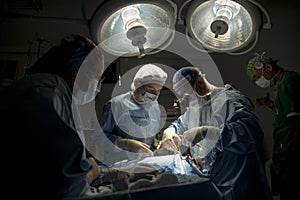 Medical Team Performing Surgical Operation in Bright Modern Operating Room