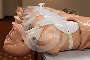 Medical training manikins in row. Manikins for human patient simulators. Anatomical manikins