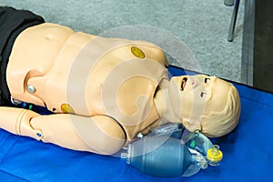 Medical mannequin, professional medicine equipment