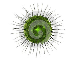 Medical virus closeup isolated