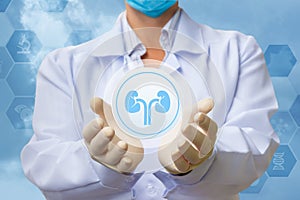 Medical worker shows the kidney icon .