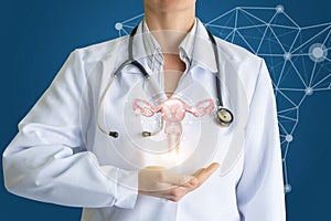 A medical worker shows the uterus and hand