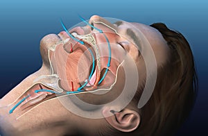 Snoring, medically 3D illustration