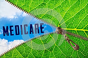 Medicare word under zipper leaf photo