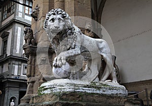 Medici lion at Signoria square in Florence, Italy photo