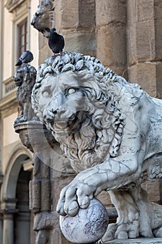 Medici Lionat the Loggia dei Lanzi, Florence