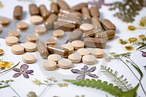 Medicinal capsules with dried medicinal herbs on white background