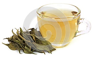 Medicinal Chirata with herbal juice photo