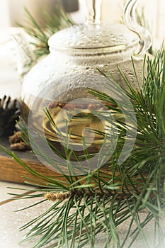Medicinal decoction with pine buds, vertical image