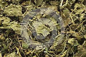 Medicinal dehydrated dried nettle leaves - Urtica