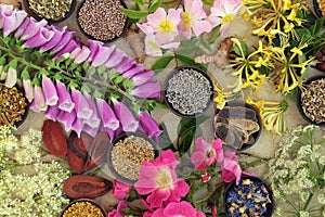Medicinal Flower and Herb Selection