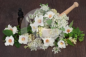 Medicinal Flowers and Herbs