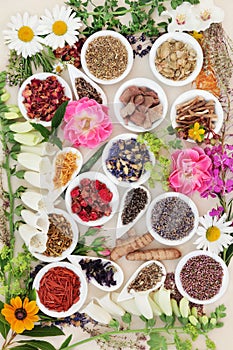 Medicinal Healing Herbs and Flowers