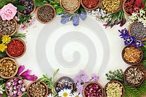 Medicinal Herb and Flower Border