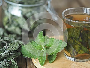 Medicinal herbal tea using dried Melissa. Dried leaves of Melissa or mint with a fresh twig and decoction in a glass on an wooden