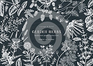 Medicinal herbs background on chalkboard. Hand sketched summer florals, herbs, weeds and meadows design. Vintage plants