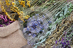 Medicinal herbs and bags of dry healthy coneflower.