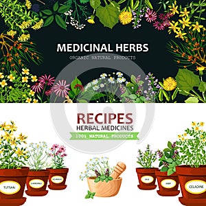 Medicinal Herbs Banners
