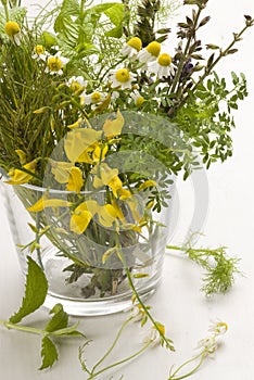 Medicinal herbs bouquet.