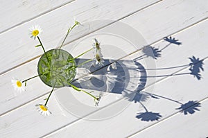 Medicinal herbs: a bouquet of white daisies stands in a glass of water that stands on a white wood background