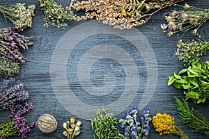 Medicinal herbs bunches on gray wooden board with copy space.