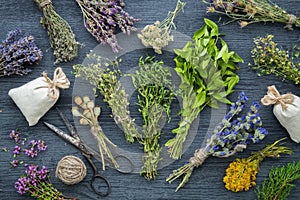 Medicinal herbs bunches, sachet and scissors. photo