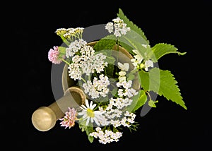 Medicinal herbs in a copper mortar with a pestle