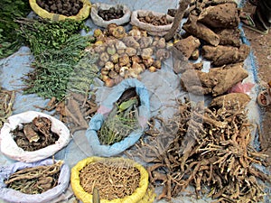 Medicinal herbs dealer