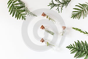 Medicinal herbs and flowers, glass bottles with herbs on a light table, natural medicine