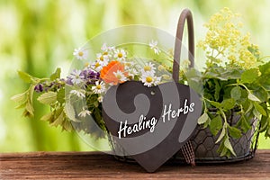 Medicinal herbs, Healing plants