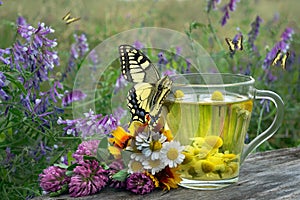 Medicinal herbs. Herbal tea. Cup of chamomile tea and medicinal herbs on wooden table. Colorful swallowtail butterflies in a bloom