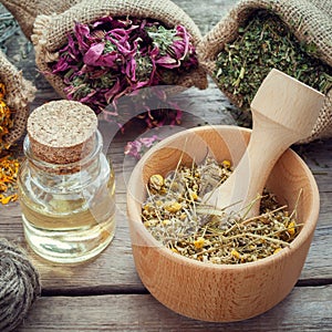 Medicinal herbs in hessian bags, wooden mortar of dry chamomile buds and essential oil on wooden table.