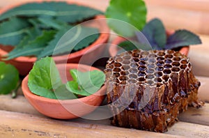 Medicinal herbs with honey comb